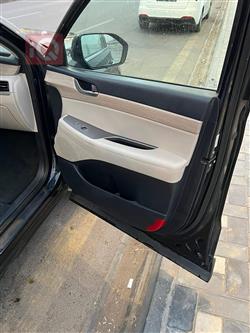 هيونداي باليسيد